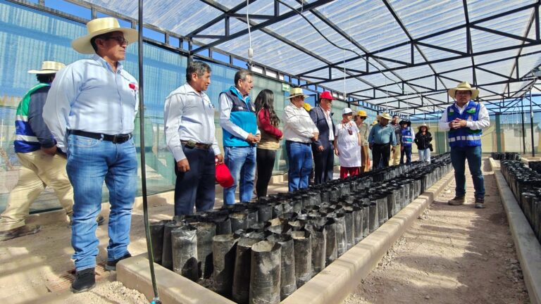 NUEVO VIVERO DE DAMASCO FORTALECE LA ACTIVIDAD AGRÍCOLA EN EL DISTRITO DE TORATA